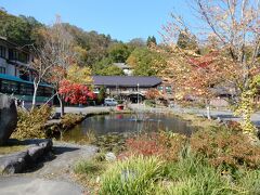 紅葉時期には沼が真っ赤に染まる蔦沼に決ました。

今日は温泉は立ち寄らず、蔦沼までの散策のみです。