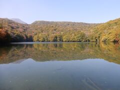 八甲田山の上が紅葉のピークということは、蔦沼の紅葉はまだということです。

緑と赤が湖面に映るのも、それはそれできれいでしたよ。
