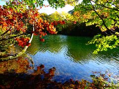 バスの時間まで余裕があったので、少し歩いて、紅葉の名所だという「鎌池」に行ってみました。