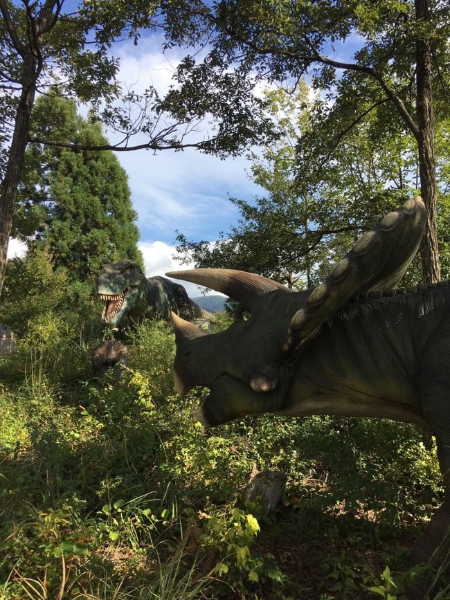 腹ごしらえをした後は、お目当、恐竜博物館へ。<br />こちらも、三連休の為、駐車場へも長蛇の列。<br /><br />特別展の「恐竜の大移動」もあって、見所満載でした。続いて、横の勝山ディノパークへ。