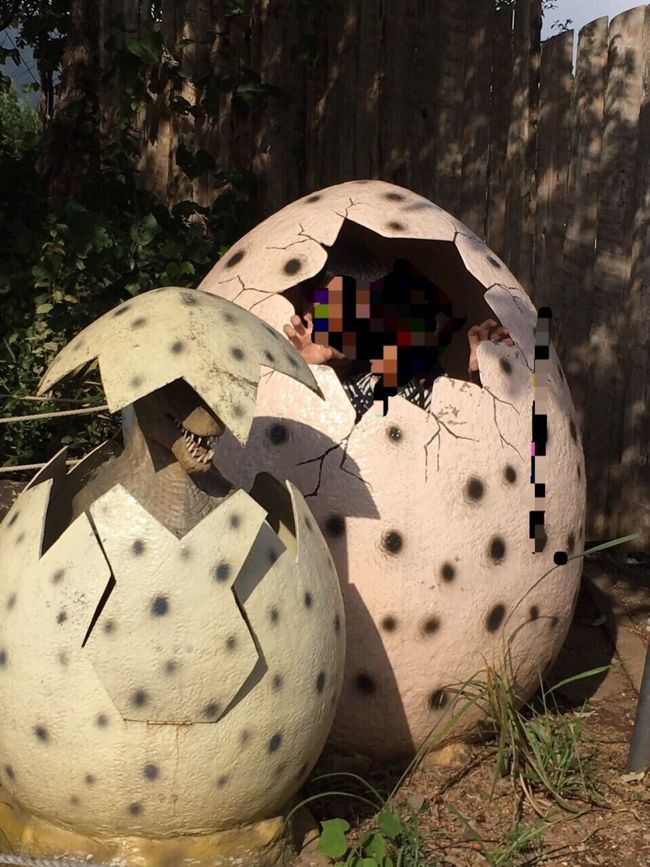 たくさんの恐竜がパーク内に潜んでいて、大迫力なティラノザウルスも。<br /><br />所々、恐竜の卵があり、写真撮影場所に