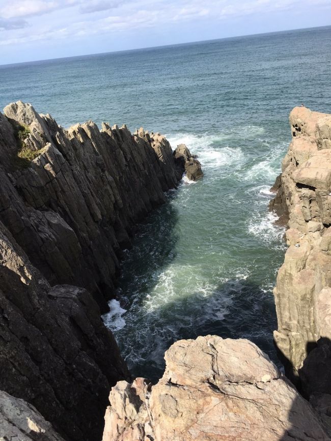 次の日は、朝ごはん食べて、東尋坊へ向かいます。<br />久しぶりの東尋坊。やっぱり風がきつかった。<br />主人は、下まで降りている間、ＳＵＮは、必死に松ぼっくり集め。