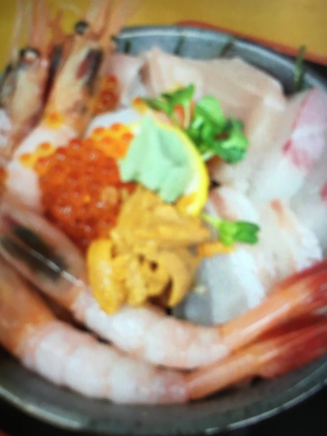 お腹も空いて、せっかく福井に来たし、海鮮でも食べたいね～って事で、三国港の食事処･田島へ。<br /><br />こちら、かなりの待ち時間。けど、海鮮は食べたいので待ちました。<br /><br />主人は、海鮮定食に焼きカレイ付き。<br />ＳＵＮは、まだ刺身が食べれないので、エビ卵丼。<br />私と半分こして食べました。<br />向かいで食べてる海鮮定食美味しいそ～！<br /><br />海鮮刺身が売りの店。周りは、エビ卵丼食べてる人は皆無。。でも、エビがゴロゴロ入ってて美味しいかったぁ。エビはほぼとられちゃったけど。<br /><br />お腹いっぱいになったら、次は、あわら温泉 清風荘へ。<br />日帰り温泉、ほとんど人がいなくて、私とＳＵＮの貸切状態。<br /><br />とっても気持ちよかったぁ～。<br />温泉上がったらすでに、3時半。いまから、またまたロングドライブで帰路の途へ。<br /><br />三連休の最終日、渋滞に巻き込まれて、9時前に無事家に帰ることが出来ました～。<br /><br />とてもリフレッシュできた旅行でした。