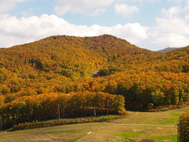 ロープウェイとリフトで 紅葉の空中散歩 爽やかな1日でした 山形蔵王 蔵王中央ロープウェイ 蔵王ロープウェイ 蔵王温泉 山形県 の旅行記 ブログ By こあひるさん フォートラベル ロープウェイとリフトで 紅葉の空中散歩 爽やかな1日でした 山形蔵王 蔵王中央ロープウェイ 蔵王ロープウェイ 蔵王温泉 山形県 の旅行記 ブログ By こあひるさん フォートラベル
