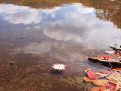 水面に青空も映りこんでいます。