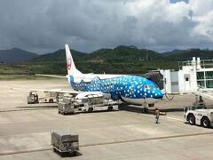 空港に着きました。
早めだったのでロビーでのんびりしました。
私たちはANAを利用しますがJALはこんなにかわいい飛行機が。