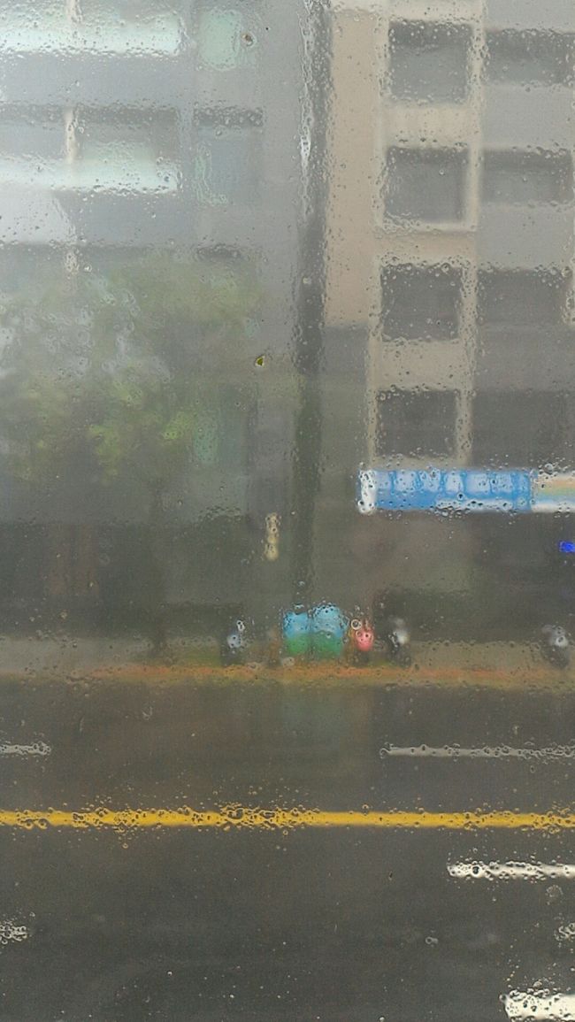 外は…荒れてます。