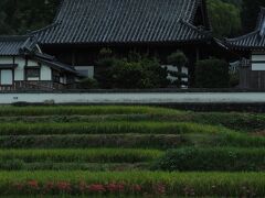 ということで、橘寺に戻ってきました。

聖徳太子の生誕の地で、推古天皇の命により
太子35歳の時にお寺として建立されました。