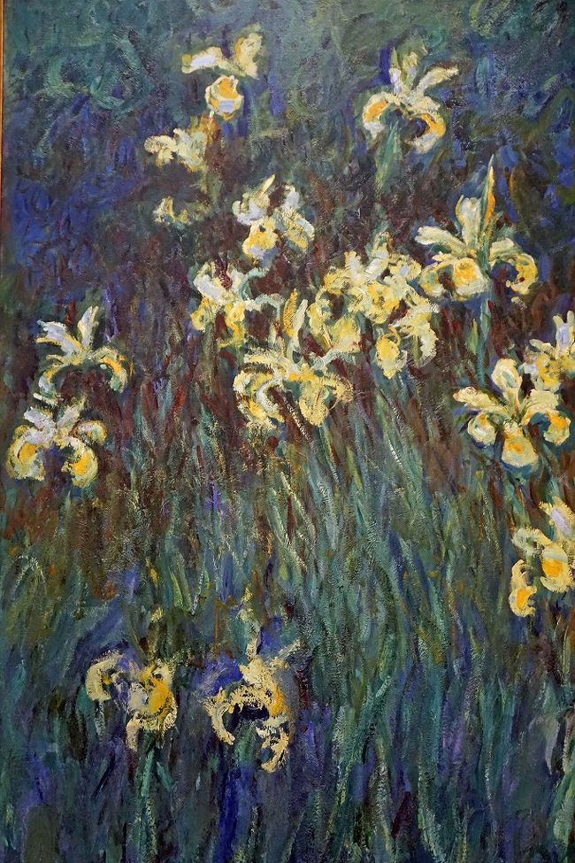 クロード・モネ 「黄色いアイリス」<br />