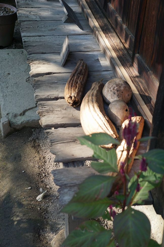 縁側にどこからか反射した柔らかい日差し。