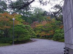 さあいよいよ入園です。 ワクワク