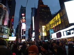 マンハッタンのミッドタウンにあるタイムズ・スクエア(Times Square)の夕暮れです。ここは周囲に沢山の劇場があるシアター地区の中心で、ロックフェラー・センター、自由の女神、エンパイヤー・ステートビルなどとともにニューヨークを代表する光景です。
2泊3日の短いニューヨーク滞在でしたが、クリスマス休暇シーズンで集まった多くの人々が醸し出す活気とともに幾つかの象徴的なイベントや景観を楽しみました。