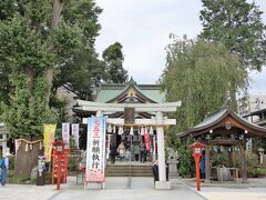 川越八幡宮　１２：４０頃到着

この日は、午前中の用事を済ませてから出発したので少し遅い到着となりました。
東武東上線の川越駅で下車した後は、混雑を避けて八幡通りを歩きます。

川越祭りとは関係ありませんが、
こちらの神社は、長元３年（1030）に甲斐守源頼信によって創祀され、
総本社の宇佐八幡から勧請されたと伝えれられます。
祭神は応神天皇。

境内（写真の左）には、縁結びのイチョウが聳えます。

