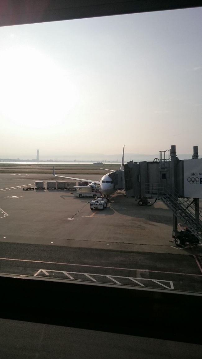 搭乗します。<br /><br /><br />NH1731　関空ー那覇　8:00⇒10:05