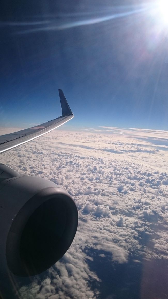 CAさん「ご搭乗ありがとうございます。<br />        本日はプレミアムクラスのお客様、お客様おひとりとなります。<br />　　　　ごゆっくりおくつろぎくださいませ」<br /><br /><br /><br />またか・・・<br /><br /><br /><br />逆に気をはるっつーの(笑)<br /><br /><br /><br /><br />かと、思ったら、後ろにお客さんが座りました。<br /><br />当日UGされたのでしょう。<br /><br /><br />助かったぁ