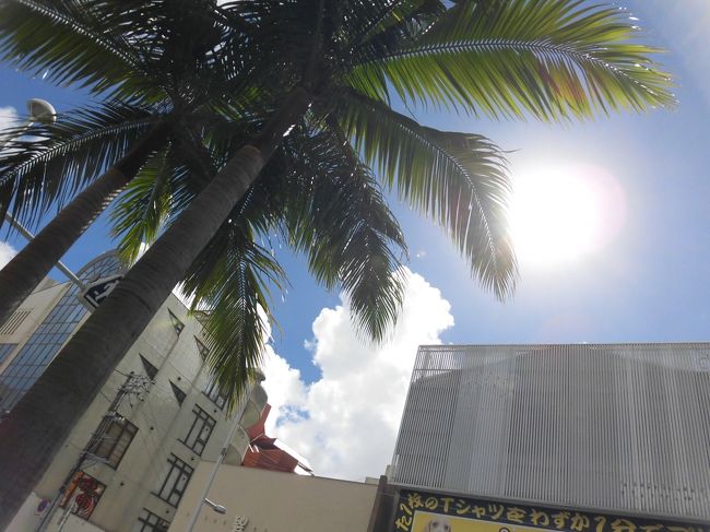 じりじり暑いです。<br /><br /><br />10月ですよ。もう。<br /><br /><br />ですのに、背中は汗でびっしょり。<br /><br />意外と搭乗時刻が迫ってきたので、<br />そそくさと那覇空港へ戻ります。