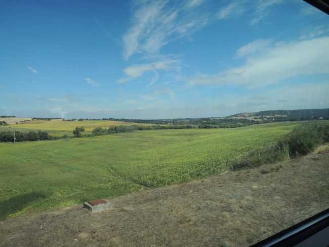 リスボンを出発すると、すぐ、こんなのどかな風景が続きます。