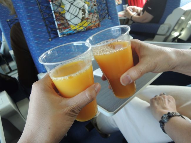 ドリンクは、ソフトドリンクのみ…。<br /><br />「飲ん兵衛母娘」としては、多少不満ありですが、<br />オレンジ・ジュースで乾杯！