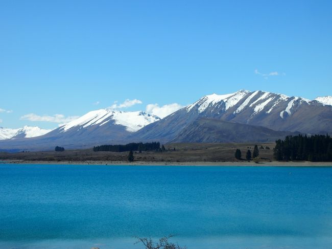 レイクテカポが見えてきた！
