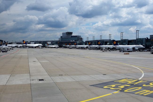 きれいにそろったルフトハンザばっかり