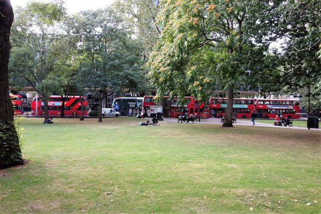 そう、こんな公園の風景も