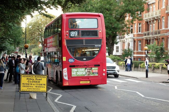 でも信号もないわけで