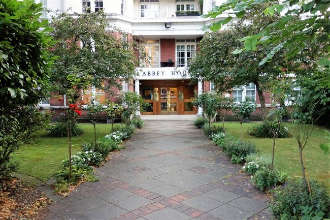 こんな雰囲気のものも。