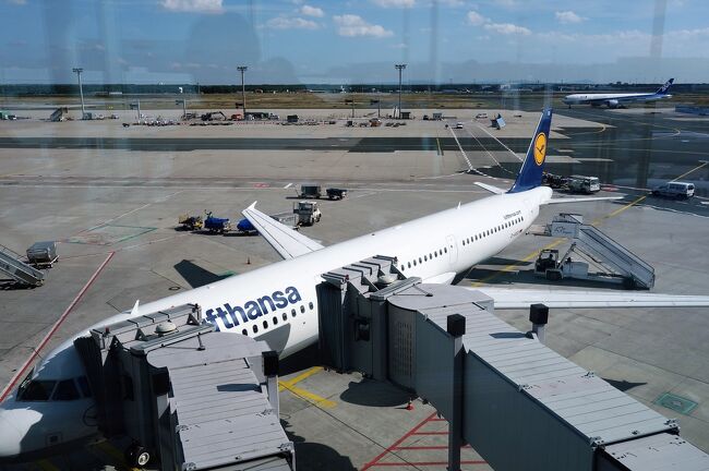 さすが地元です。搭乗の時は一本だったやつが<br /><br />２本だしでした。<br /><br />それはさておき、３０分遅延で飛んできてこの短い距離で挽回するものでもなく<br /><br />４５分の乗り継ぎ時間が１５分になっている身にとって<br /><br />少しでも迷惑かけないように一番に降機すべくドアの所に一番に並んだのに<br /><br />そこでＣＡから「あなたの次のフライトは変更されているから」と。<br /><br />「えっ、今言う事！？もっと早く伝えられたじゃん」とも思ったけど<br /><br />もう従うしかないことですね。