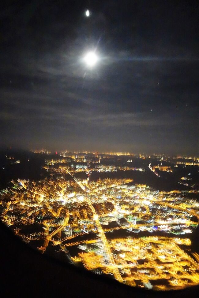 思いがけずフランクフルトには２回のトランジットで<br /><br />長時間いた事になりました。<br /><br />こんな街並みだったのねと、みながらサヨウナラ