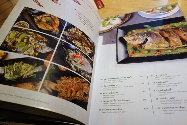 ボッチというのが悔やまれます