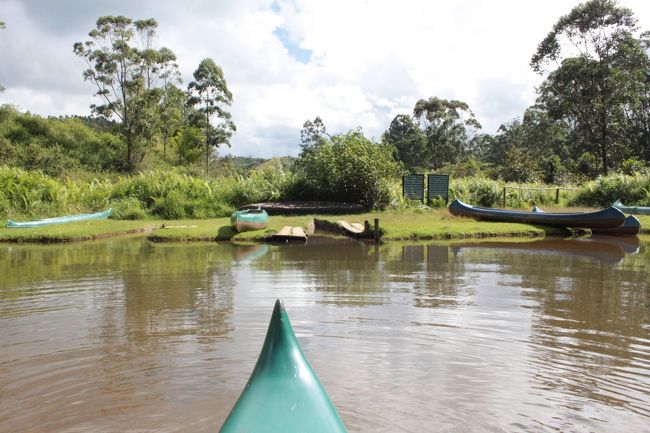 レミュールアイランドまではボートで数メートル移動したらすぐ<br />ガイドさんもバナナもついてきます