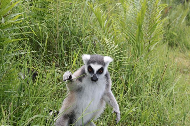 こっちこっちー