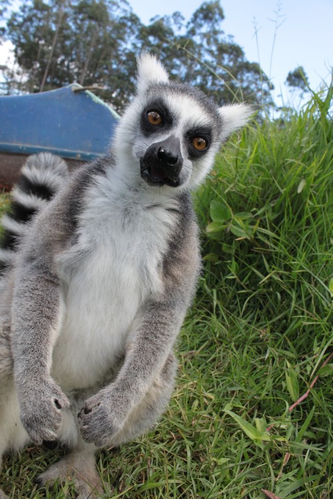口パンパンなのにまだおねだりしてきます