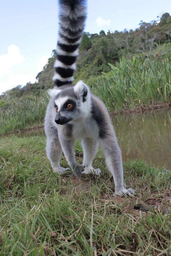 肩や頭に乗ってきて思う存分触れ合えました