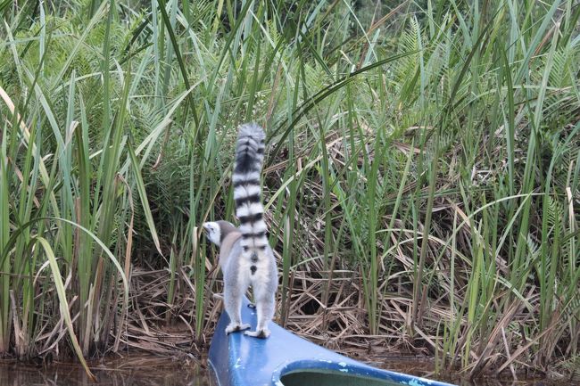 お尻もめんこい