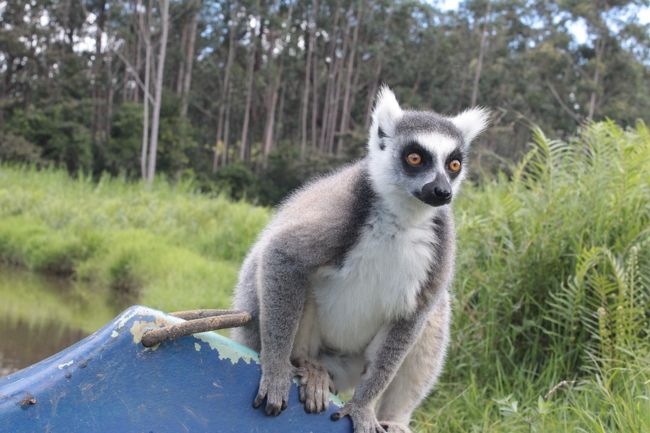 ふわふわして可愛かったな