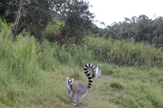 じゃあ帰るねー<br />元気でね！