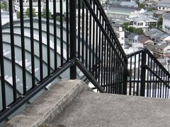 スカイロードの隅に気持ちよさそうに寝ている猫。

横を通っても、びくともしない。