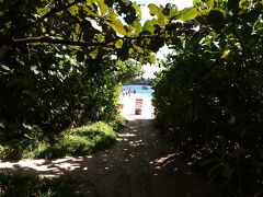 晴れた川平湾もみなければ。

もうすぐ見られるわくわくわく！