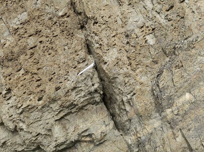 仙酔島<br /><br />　おもに白亜紀の流紋岩質凝灰岩（一部溶結凝灰岩）から成る