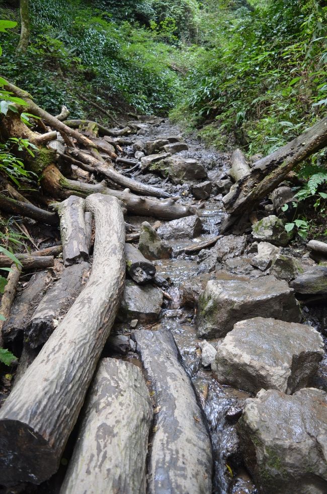 高尾山健康登山 9 6号路ー高尾山ー1号路 琵琶滝ー高尾山温泉 高尾 八王子 東京 の旅行記 ブログ By Takeおじさん フォートラベル 高尾山健康登山 9 6号路ー高尾山ー1号路 琵琶滝ー高尾山温泉 高尾 八王子 東京 の旅行記 ブログ By Takeおじさん フォートラベル