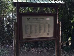 【イビラプエラ公園の日本館（サンパウロ／ブラジル）】

竹林に囲まれ、奥まった場所にあるので（実は、イビラプエラのど真ん中...なんですが）、目立たないだけ....。地味なんです……