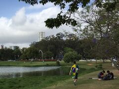 【イビラプエラ公園（サンパウロ）】

..以下、wikiより..

今から６３年前の1954年にサンパウロ市政４００周年を記念して造られた市営公園。


写真：おい、そこの君～！なぜ、ブラジルの国旗を背負っているのさぁ～？
