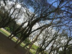 【イビラプエラ公園（サンパウロ）】

約１２０ヘクタールの敷地面積（因みに東京ドームは、５ヘクタール）。1990年には大相撲（ブラジル場所）も開催されたそーです。