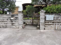 昼ごはんは、ホテルを出ててぃーあんだに行きました。

野菜中心の定食ですが、なかなかのボリュームでした。