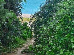 海カフェから、ウドノスビーチまでは徒歩５分！

街から一番近いビーチです。

このジャングル？を抜けると