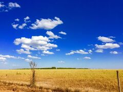 【ミナスジェライス州（ブラジル）の光景】

ど.....どうですか......