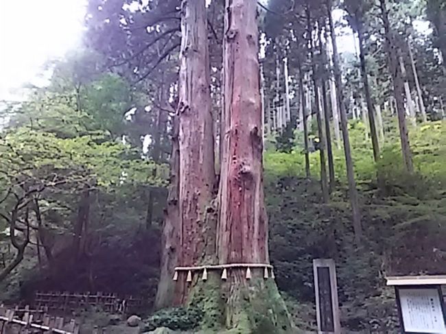 最速　最急で望みを叶えるパワー　わずかな可能性を100%に イオン交換樹脂リニューアルの効果の検証をしています