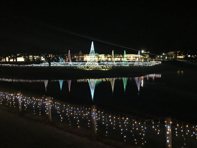 ライトアップです。