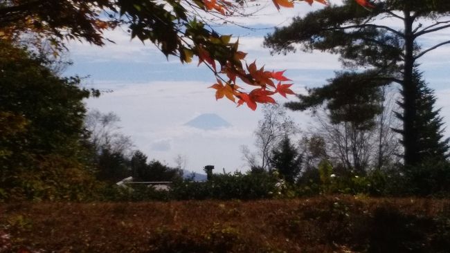 テラスからは　富士山もみえます